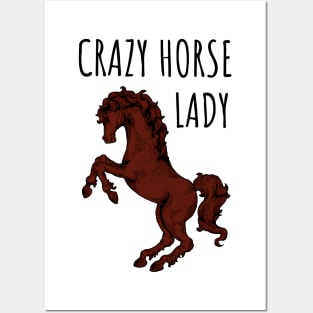 Crazy Horse Lady Posters and Art